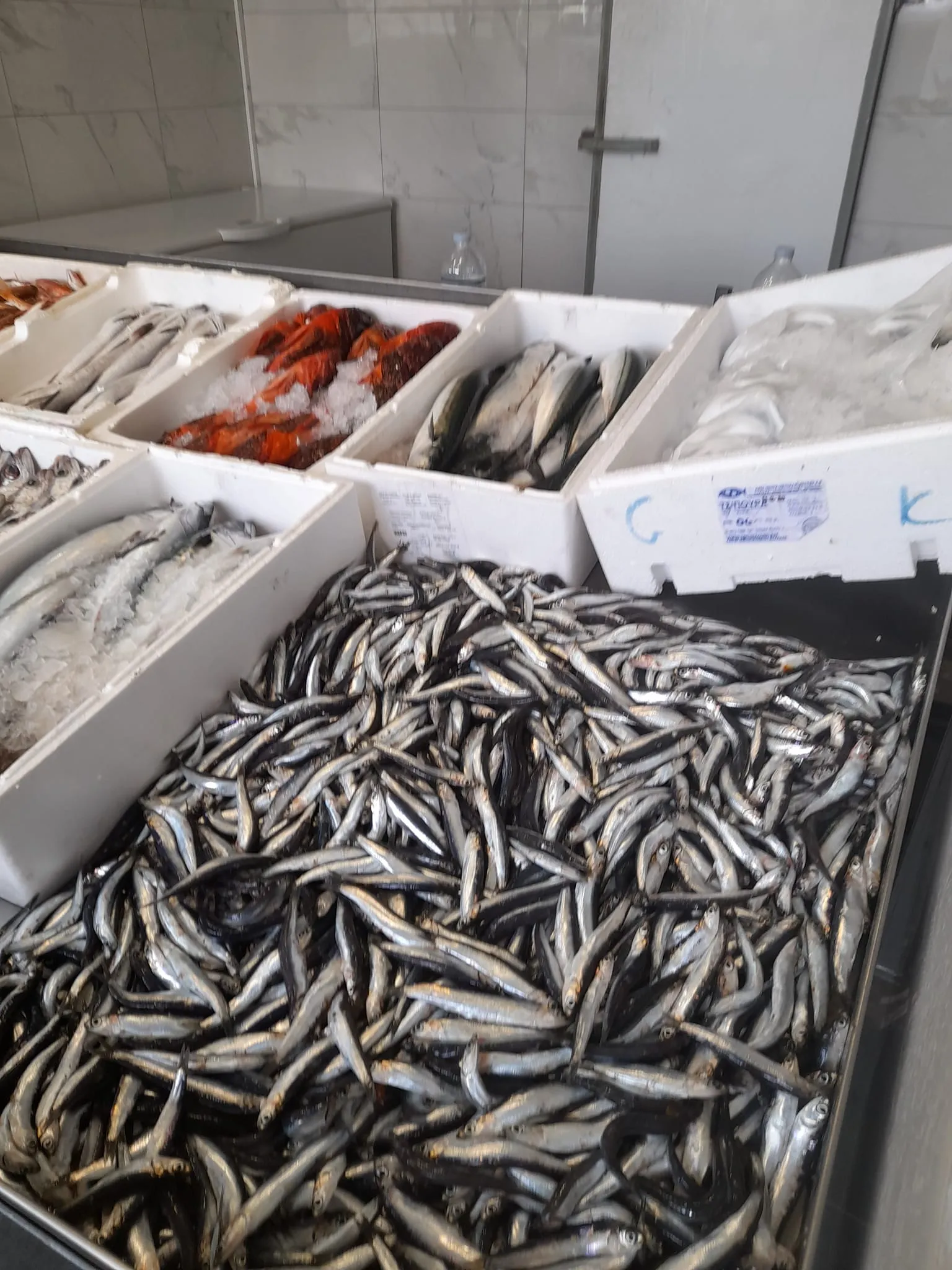 Fresh seafood
